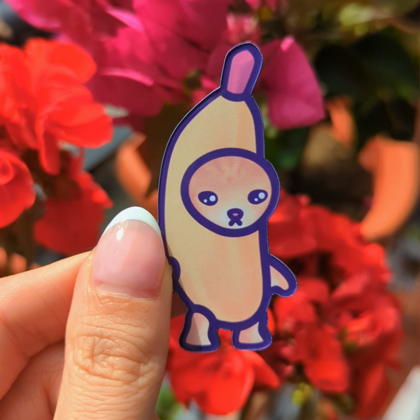 Snack Cat Fridge Magnet Set | Funny & Unique Cat Meme Gift