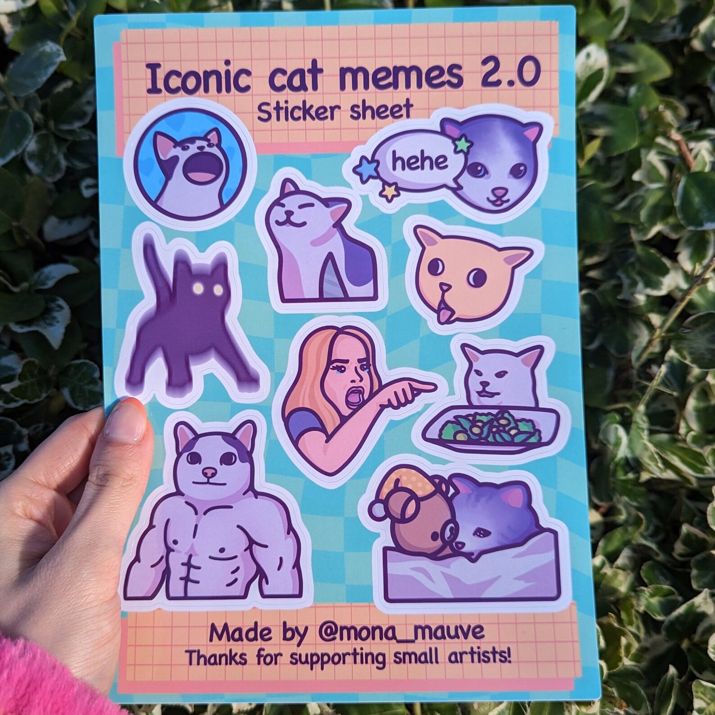 Iconic Cat Memes 2.0 Sticker Sheet | 9 Cute & Funny Vinyl Waterproof Stickers