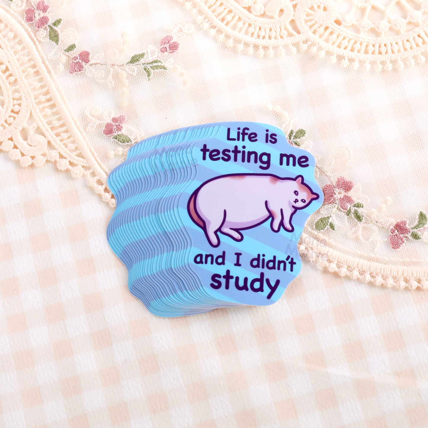 Life Is Testing Me and I Didn't Study | Funny Cat Meme Vinyl Sticker