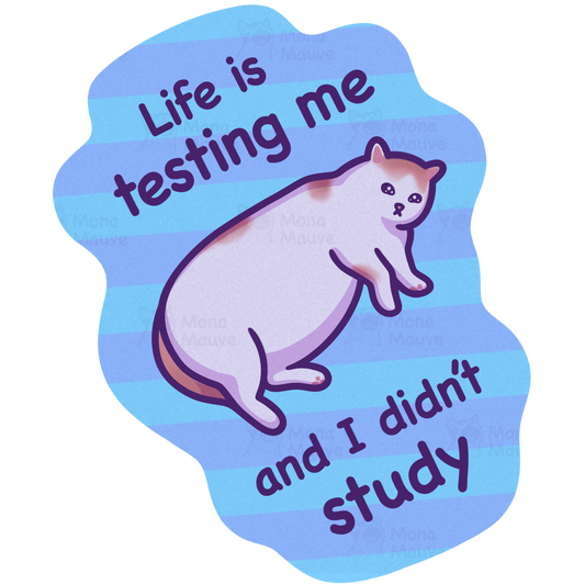 Life Is Testing Me and I Didn't Study | Funny Cat Meme Vinyl Sticker