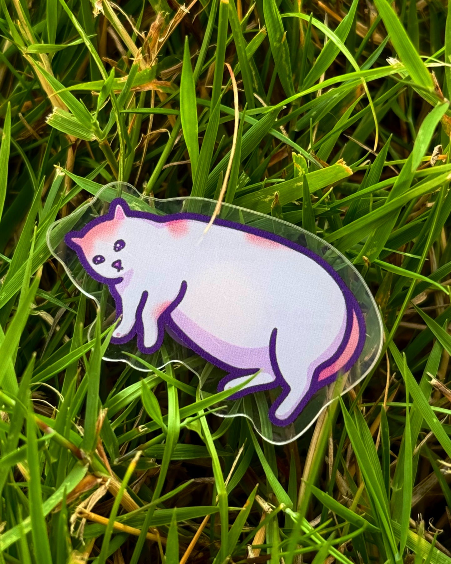 He's Not Fat, Just Big Boned | Funny Cat Meme Acrylic Pin