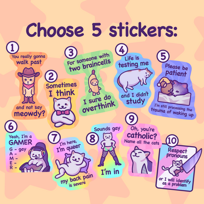 Funny Cat Meme Vinyl Sticker Set | Mix & Match 5 Stickers