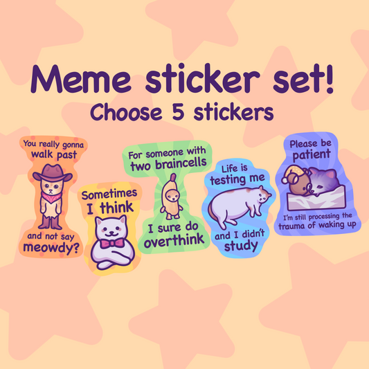 Funny Cat Meme Vinyl Sticker Set | Mix & Match 5 Stickers