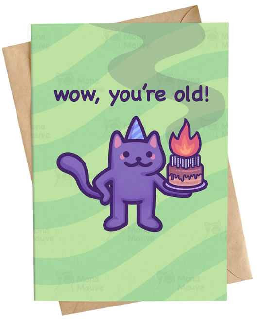 A greeting card with a light green striped background and the text 'wow, you're old!' above a cartoon purple cat wearing a party hat and holding a birthday cake. A kraft paper envelope is partially visible behind the card.