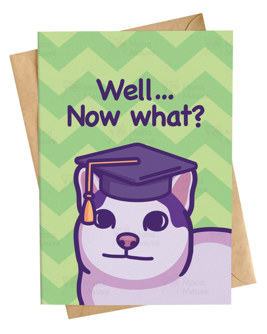Well, Now What? | Funny Cat Graduation Card