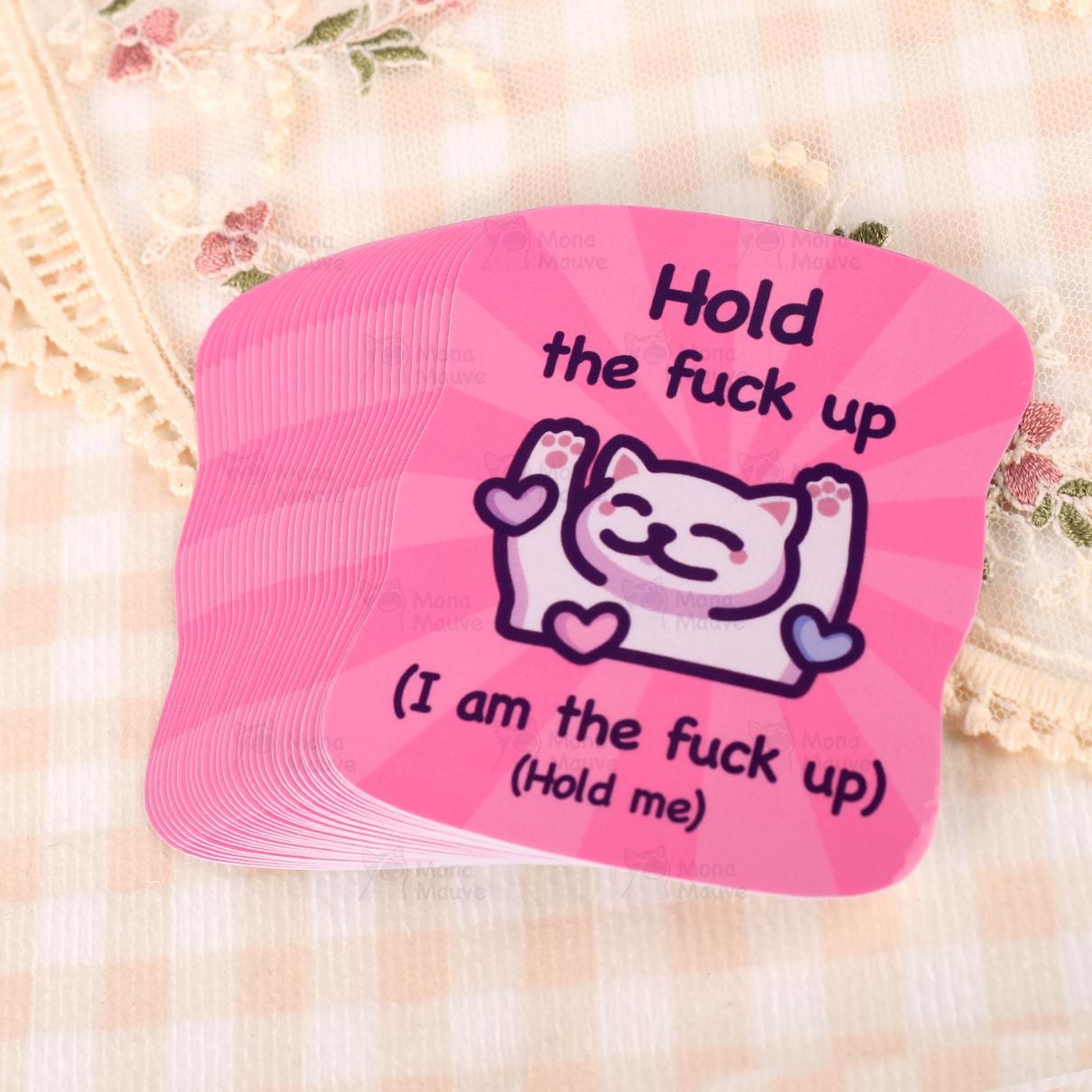 Funny Cat Meme Vinyl Sticker | Hold Me