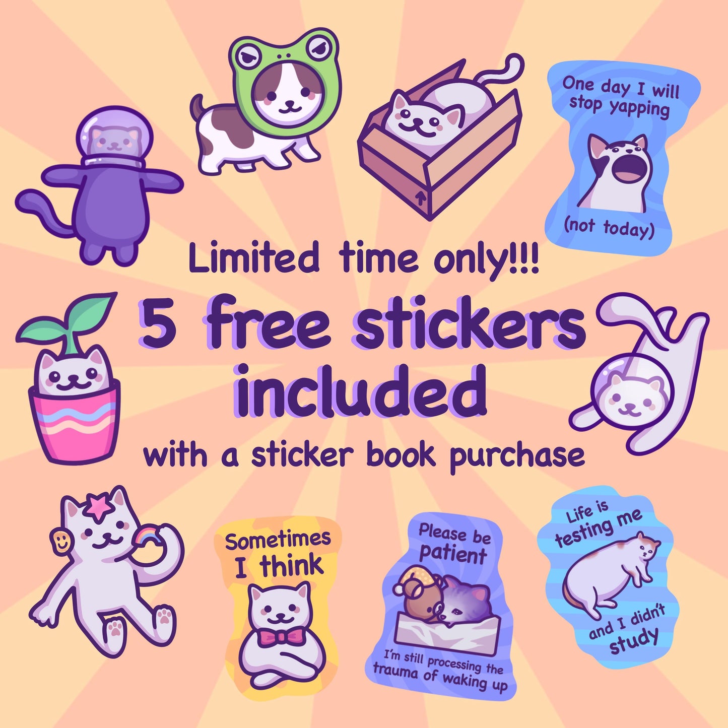 Cute Cat Reusable Sticker Book | Holographic Blank Album for Sticker Collecting