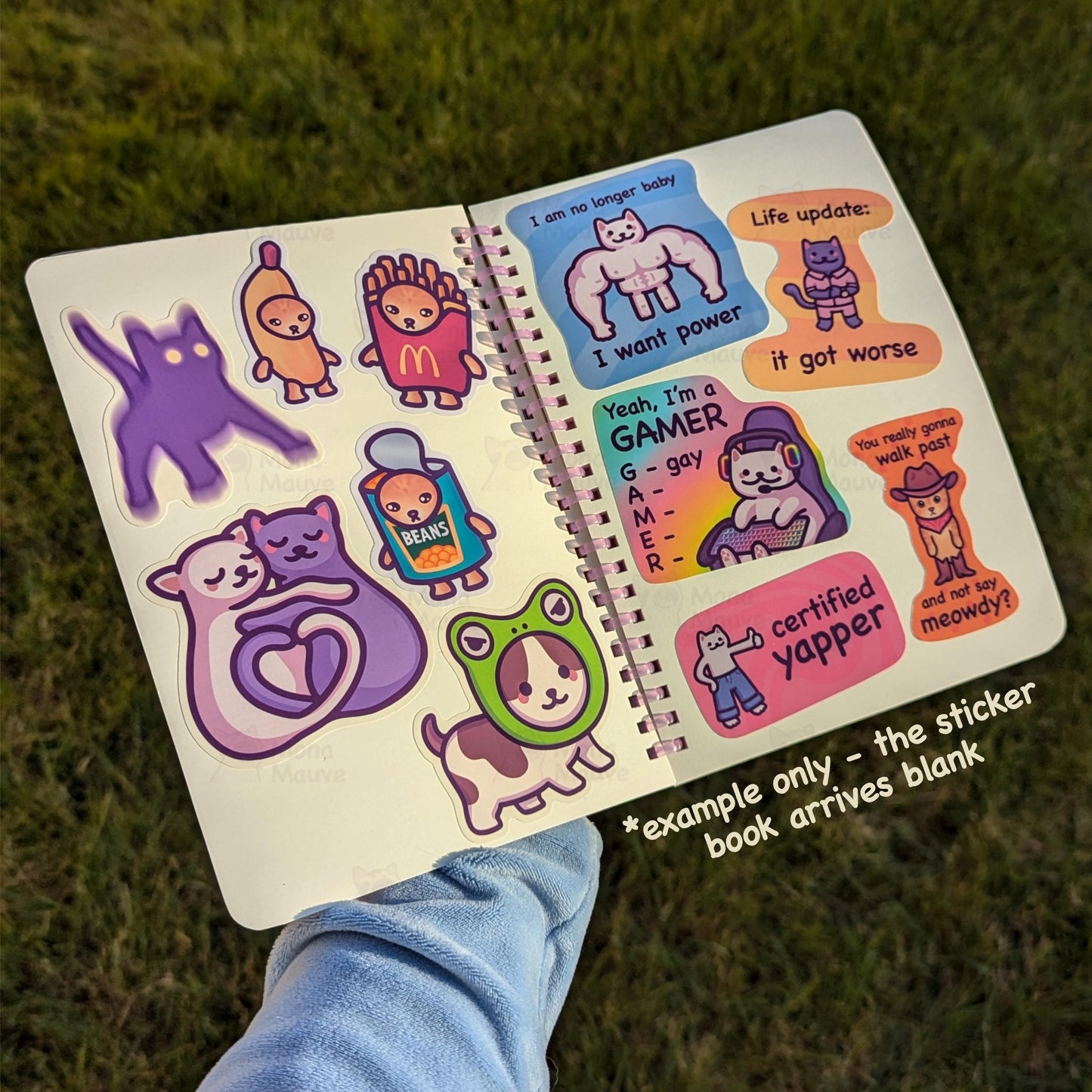 Cute Cat Reusable Sticker Book | Holographic Blank Album for Sticker Collecting