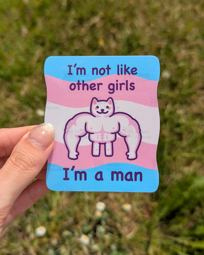 I'm Not Like Other Girls (I'm a Man) | Funny Cat Meme Vinyl Sticker