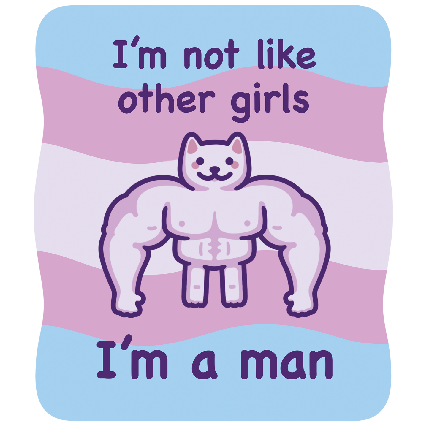 I'm Not Like Other Girls (I'm a Man) | Funny Cat Meme Vinyl Sticker