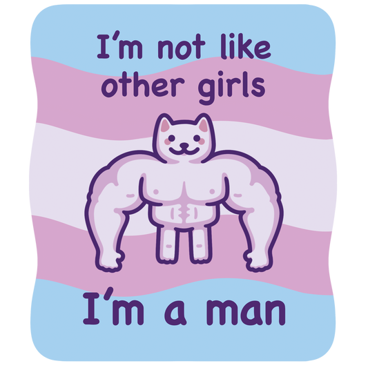 I'm Not Like Other Girls (I'm a Man) | Funny Cat Meme Vinyl Sticker