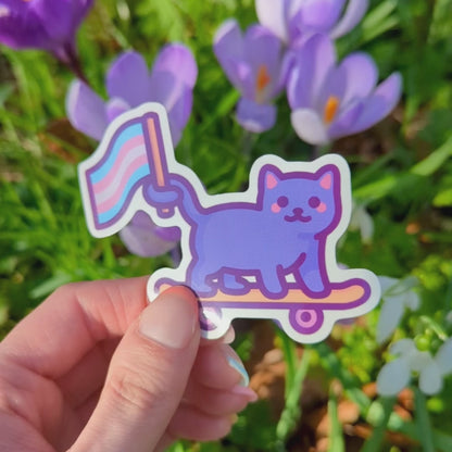 Cute Trans Pride Sticker | Trans Flag Cat on Skateboard