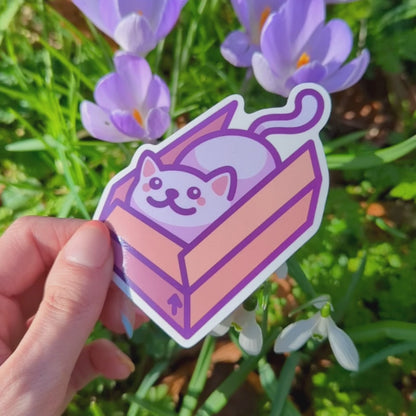 Cat in a Box Vinyl Sticker | Cute Cat Meme | Kawaii Waterproof Sticker