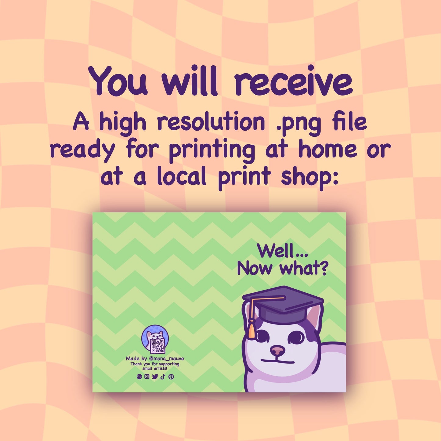 Funny Cat Meme Graduation Card Digital Download | Well, Now What? | School or University Graduation | Instant Download Printable Card