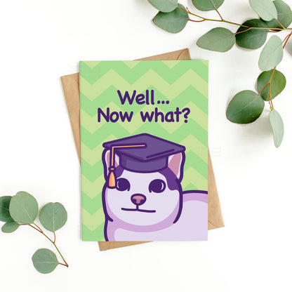 Funny Cat Graduation Card | Well, Now What? | Meme Gift for School or University Graduation | End of School Congratulations - Her or Him