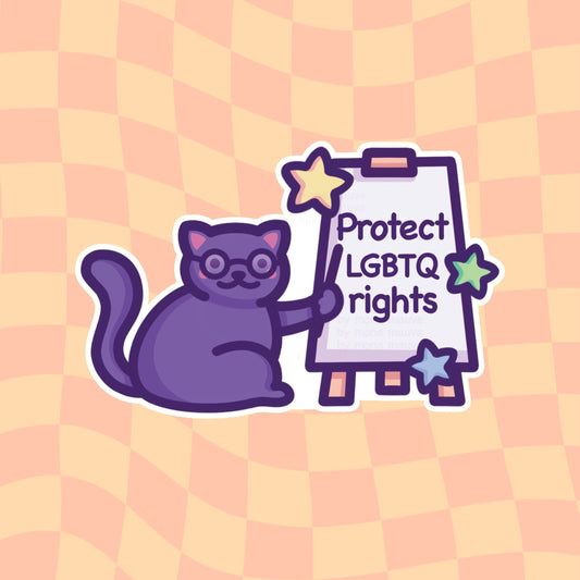 Protect LGBTQ Rights Vinyl Sticker | Lesbian, Gay, Bi, Trans, Queer Pride | Cute Cat Meme | Waterproof Ally Bumper or Flask Sticker