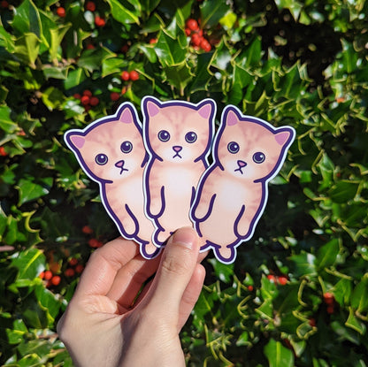 El Gato Meme | Cute Cat Vinyl Sticker